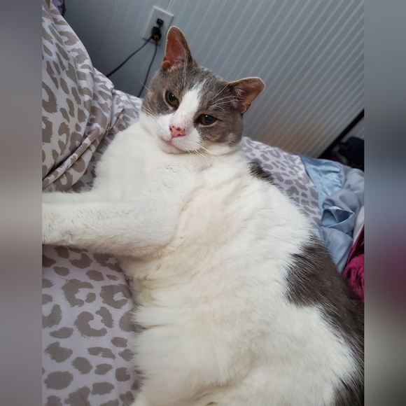 💜🖤💚 Shop my fabulous, ever growing closet! 💜🖤💚 - Picture 2 of 10